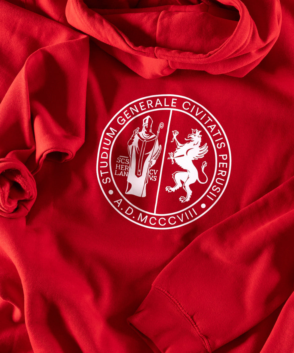 Hoodie / Felpa UNIPG